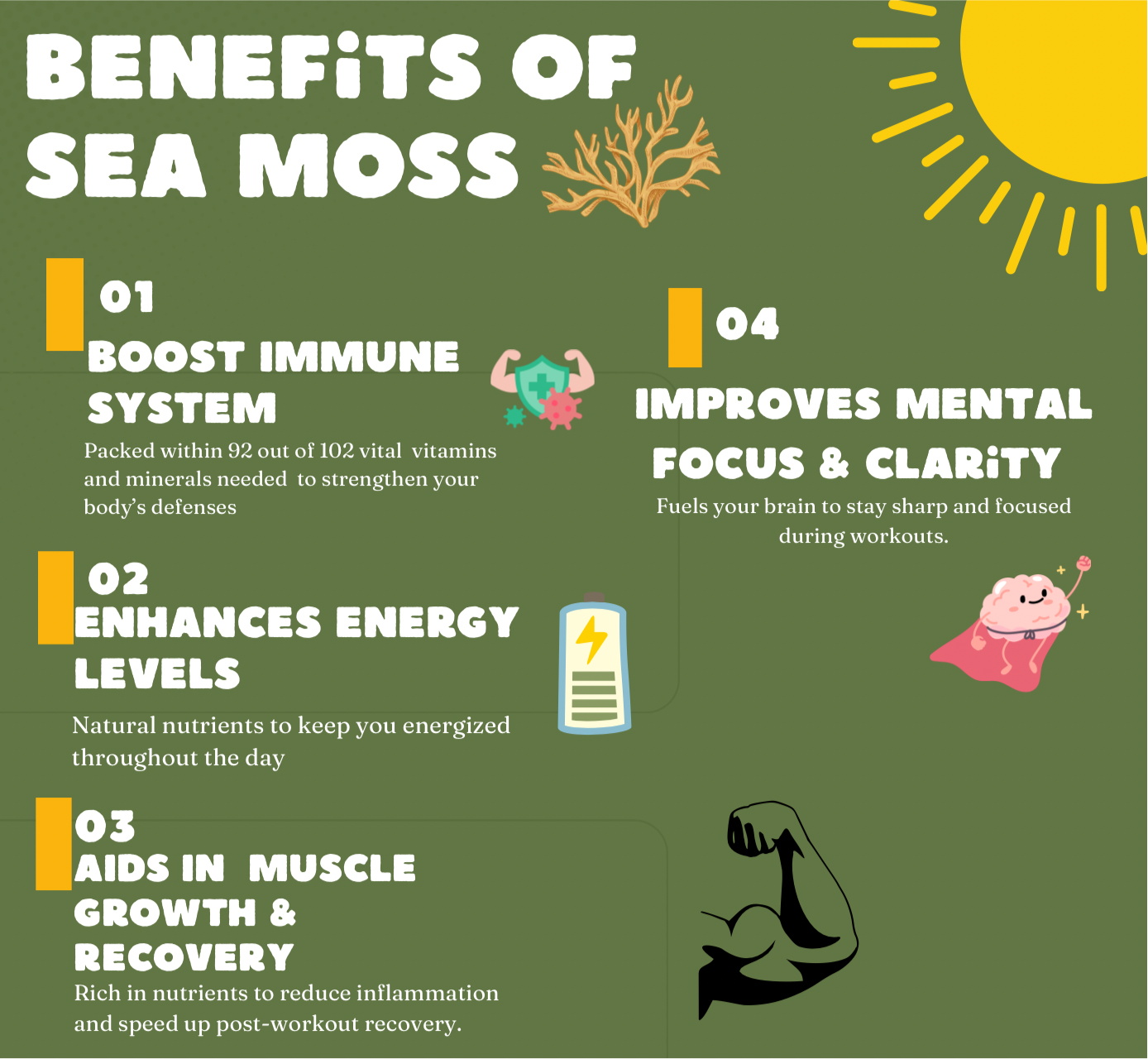 Watermelon & SourSop infused Sea Moss Gel